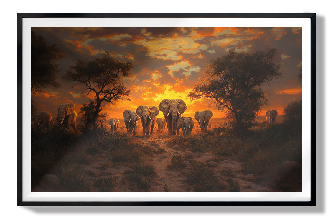 Elephant Sunset Safari Black Black culture wall art view 67