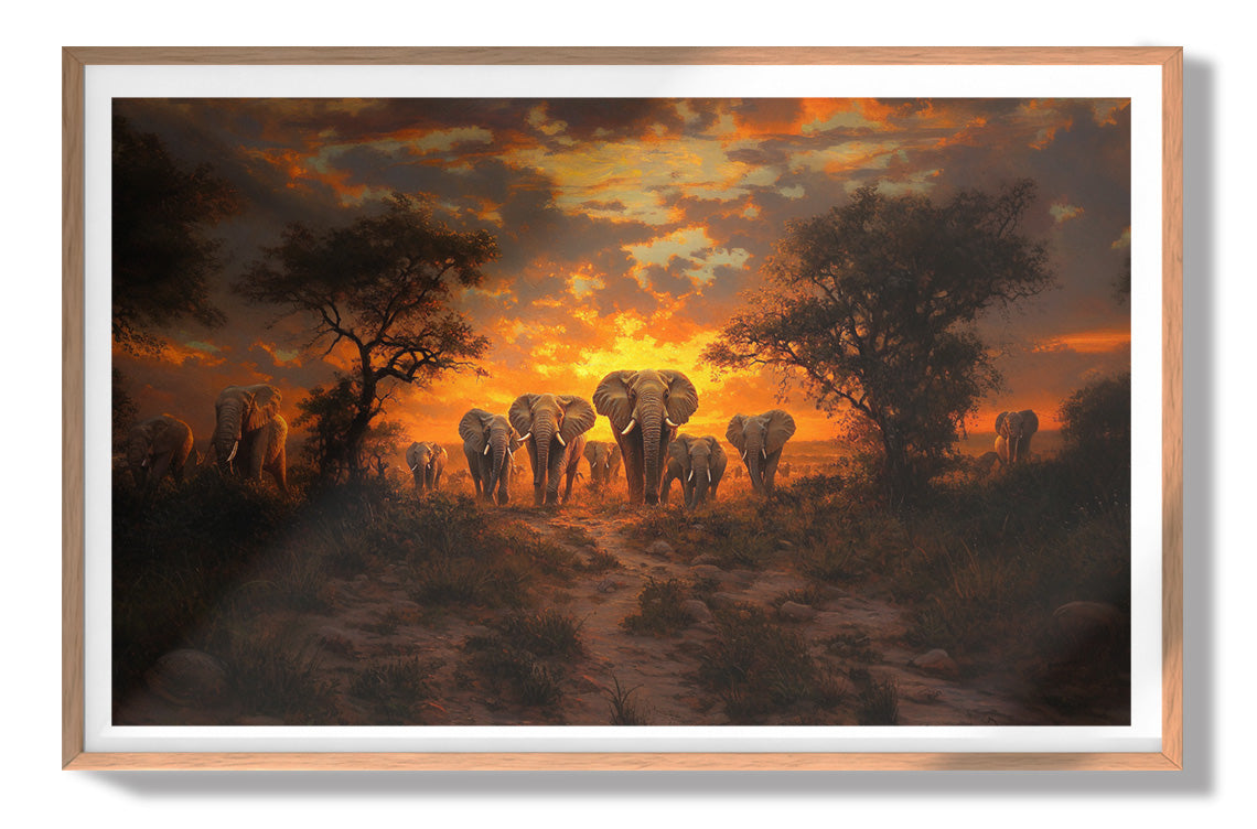 Elephant Sunset Safari Black Black culture wall art view 79