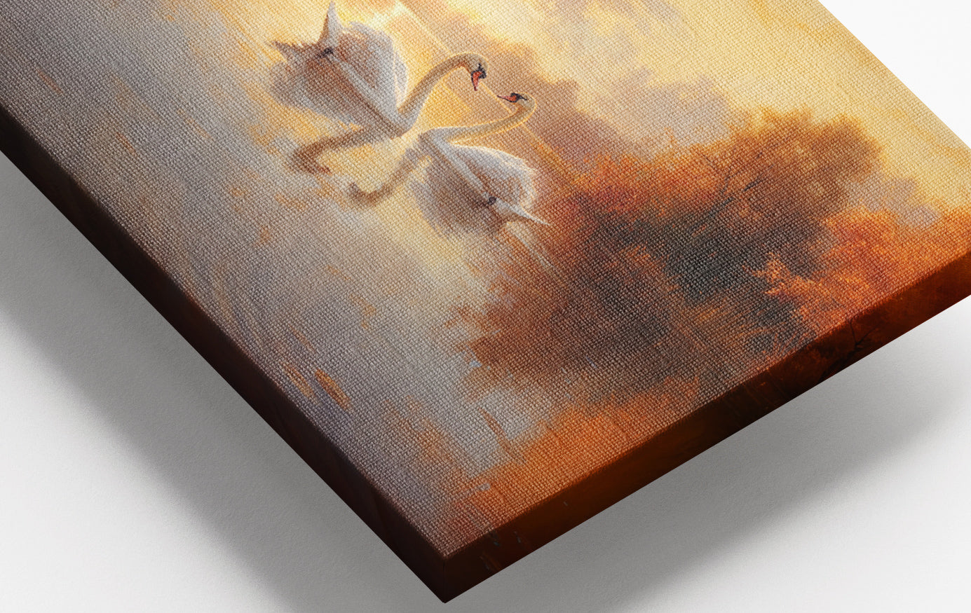 Close-up of Romantic Swans at Sunset Black love wall art detail