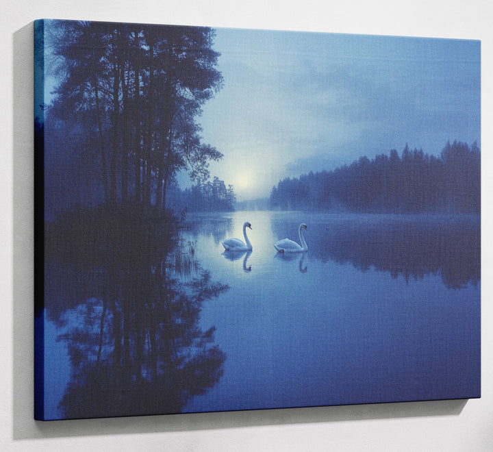 Blue Moon Swan Lake African American canvas print canvas print with visible wall art format