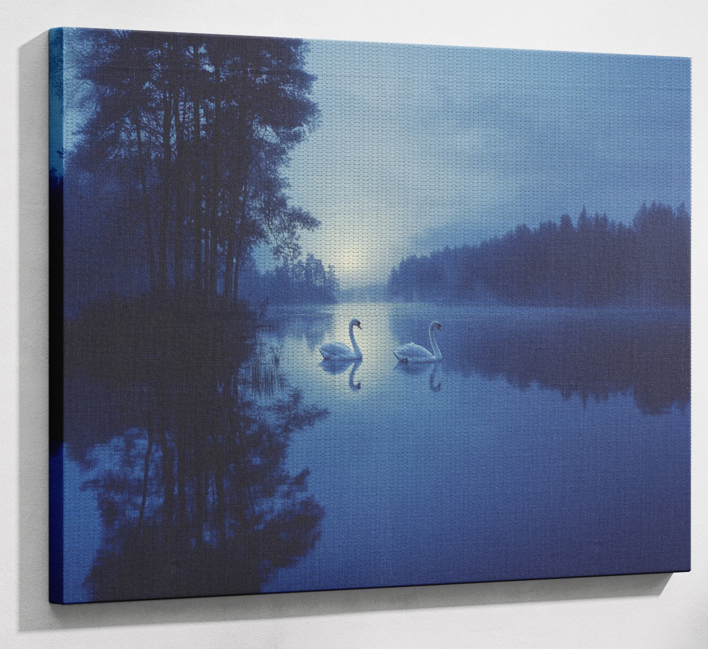 Blue Moon Swan Lake African American canvas print view 13