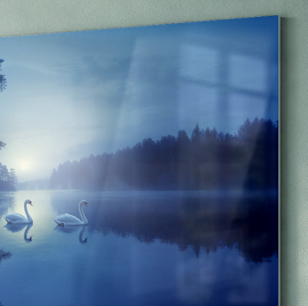 Blue Moon Swan Lake African American canvas print view 22