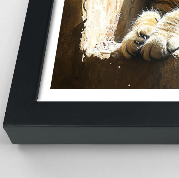 Tabby Cat Window African American canvas print view 70