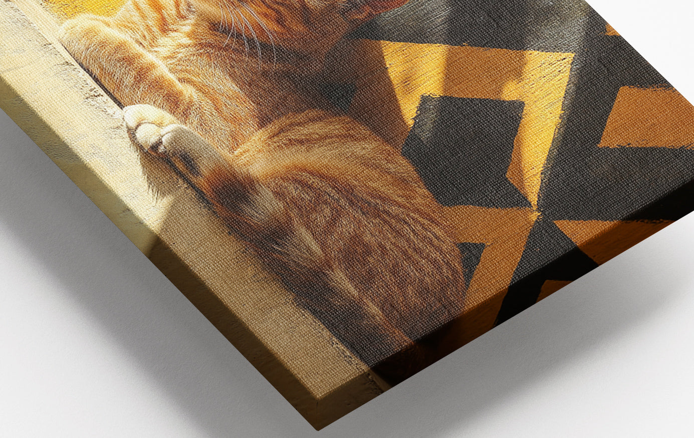 Close-up of Orange Cat Geometric Sunlight African American abstract art detail
