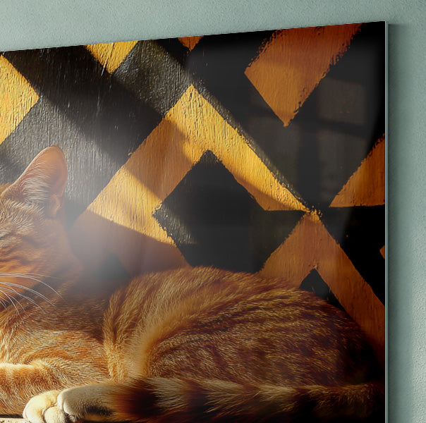 Orange Cat Geometric Sunlight African American abstract art view 22